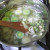 Add the peas, potatoes and herbs and then cover and simmer for 50 minutes. Add the peas, potatoes and herbs and then cover and simmer for 50 minutes.