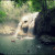Finca El Paraiso's hot waterfall Finca El Paraiso's hot waterfall
