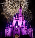 Dates of Special Events at the Walt Disney World Resort 2014 and 2015