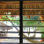 Green Parrot Beach House and Resort, Maya Beach Green Parrot Beach House and Resort, Maya Beach