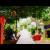 Placencia beach path. The road to the Barefoot Bar. Placencia beach path. The road to the Barefoot Bar.