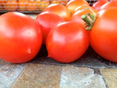 Plump one ounce cherry tomatoes are rich and solid.
