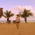 Caribbean paradise Caribbean paradise