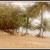 Hammocks on the beach Hammocks on the beach