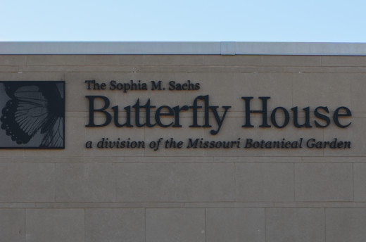 Getting closer to the entrance of the butterfly house, where you buy your tickets.