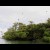 Frigate island out in the cayes. Frigate island out in the cayes.