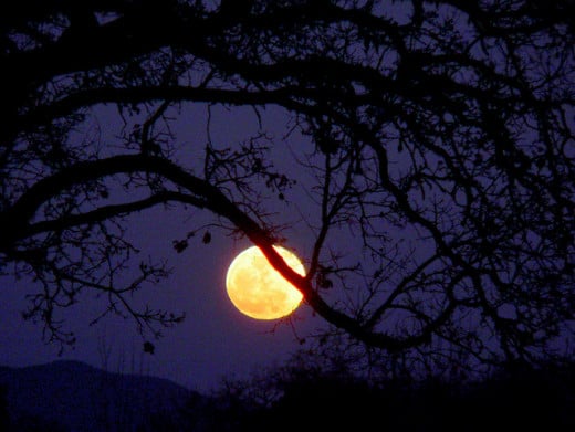 The paschal full moon determines the date of Easter. This year it's on April 15th.