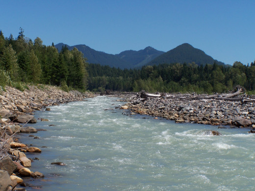 Will you speak out against the destruction of the environment?