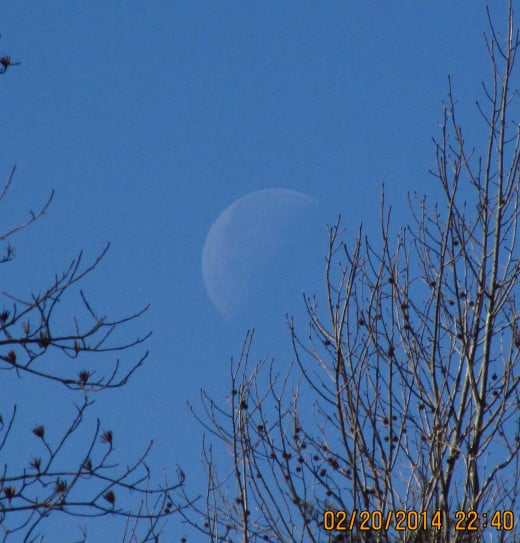 At 10:30 a.m. the Moon was still very prevalent in the sky on my third day in the Smokies.