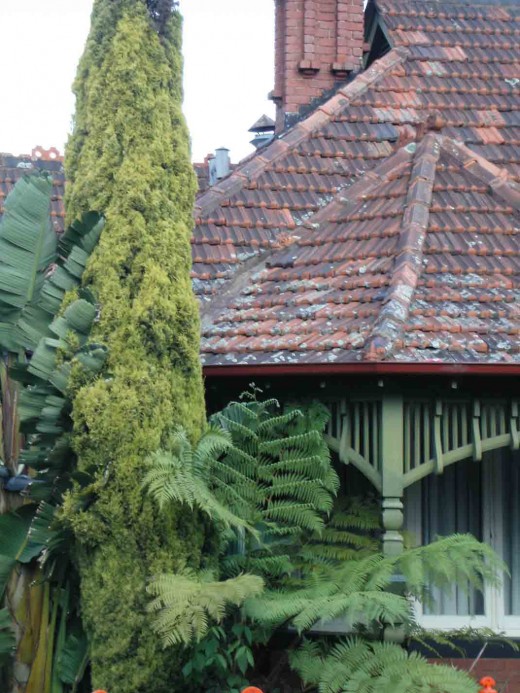 A Federation cottage in Richmond