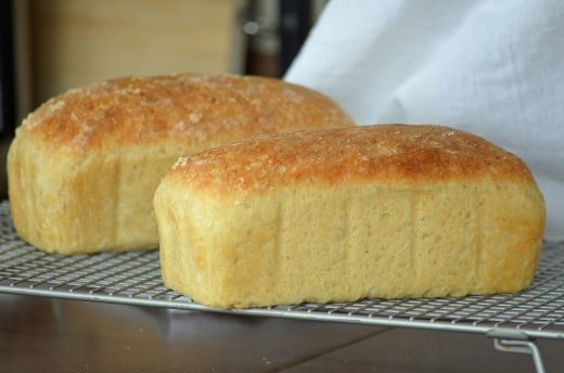 Fresh baked no-knead English muffin bread