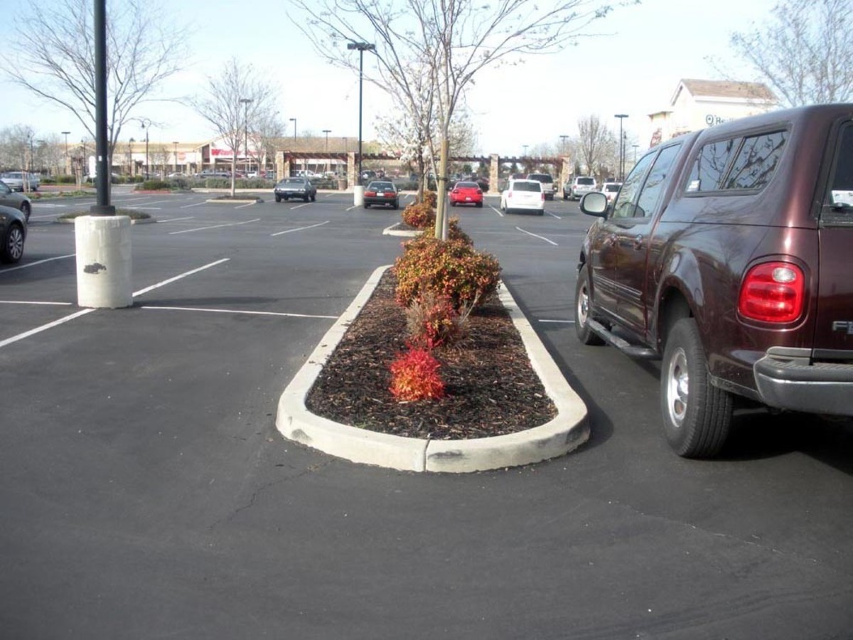 Typical landscape island next to parking stall