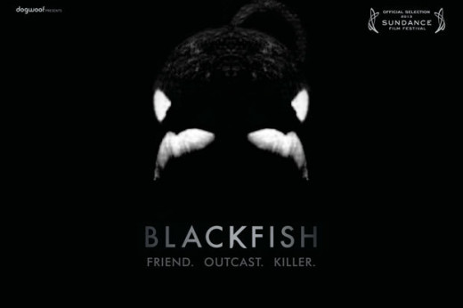 "Blackfish" movie poster, released in January 2013. 