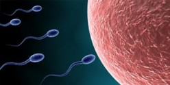 Male and Female Infertility and Assisted Reproductive Technologies