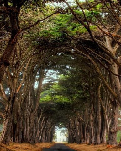 We all walk the road of life ., yet we are just passing through