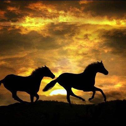 Together, but just passing through.....