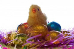 Easter Egg Treats