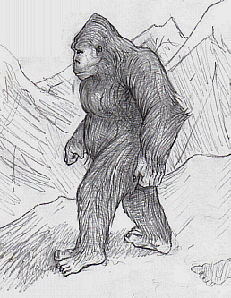 Does Bigfoot Or Sasquatch Exist? Well I Can Tell You That Yes Bigfoot Does Indeed Exist. I Saw It.