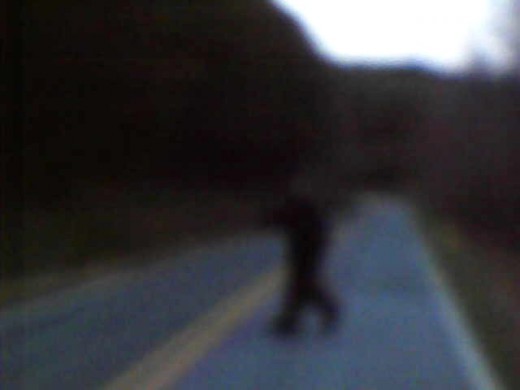 There is a photo of what crossed the road in front of me on Golden Valley Church Road on March 22 , 2011. At the point in the photo there it is raising its arm over its head. It snarls at me at this point. 