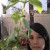 Next to the oregano's tallest branch. 