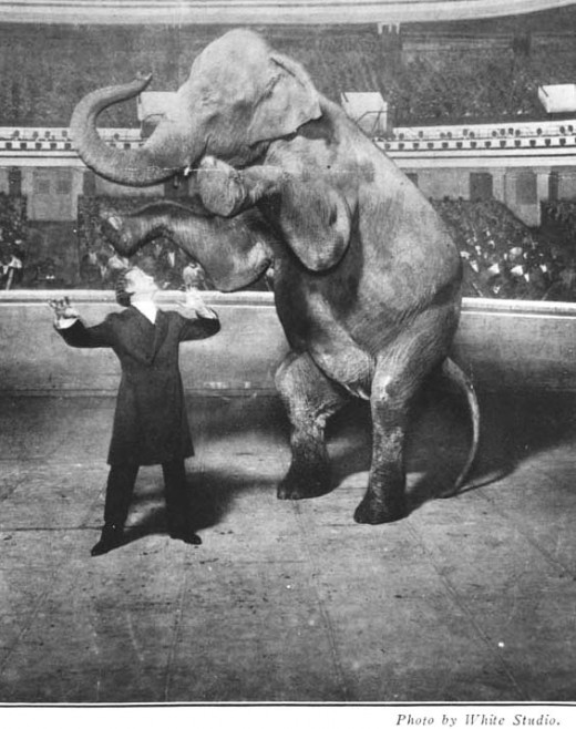 Harry Houdini (1874-1926) vanishing Jennie, the elephant, performing at the Hippodrome, New York.Others might vanish rabbits, but in 1918, on the brightly-lit stage of the Hippodrome in New York City, Houdini made a 10,000-pound elephant disappear. 