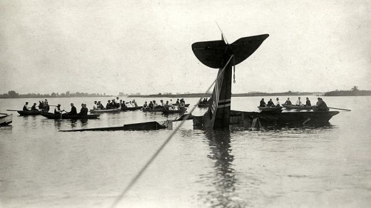 A plane submerged in the water with only its tale visible. 