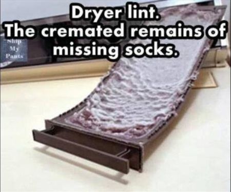 The mother load of used dryer lint.