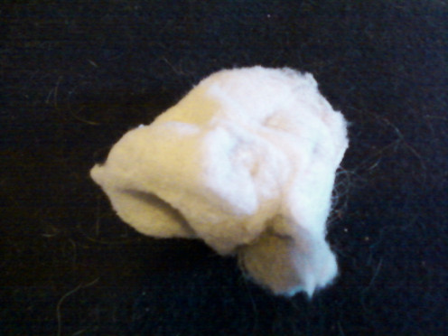 One magic piece of dryer lint.