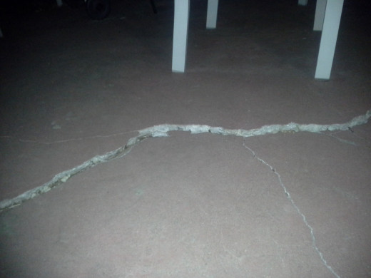 This concrete heaved during a freeze-thaw cycle this winter, creating a trip hazard on our patio. We should have repaired the crack when it first appeared!