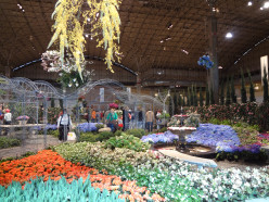 Highlights from the Chicago Flower and Garden Show 2014