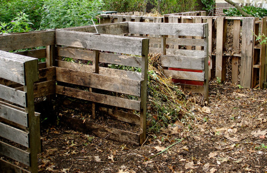 Wood Pile Compost Heap