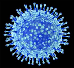 Health Significance Of Viruses To Man: Multiplication, Spread And Common Routes Of Entry