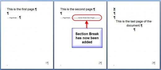 Section Break Example