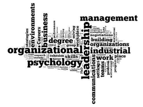 Organizational Psychology A ScientistPractitioner Approach