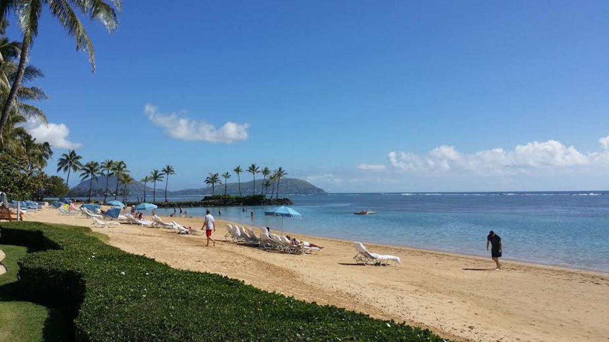 Dolphin Quest at the Kahala Hotel and Resort: Things to Do on Oahu, Hawaii