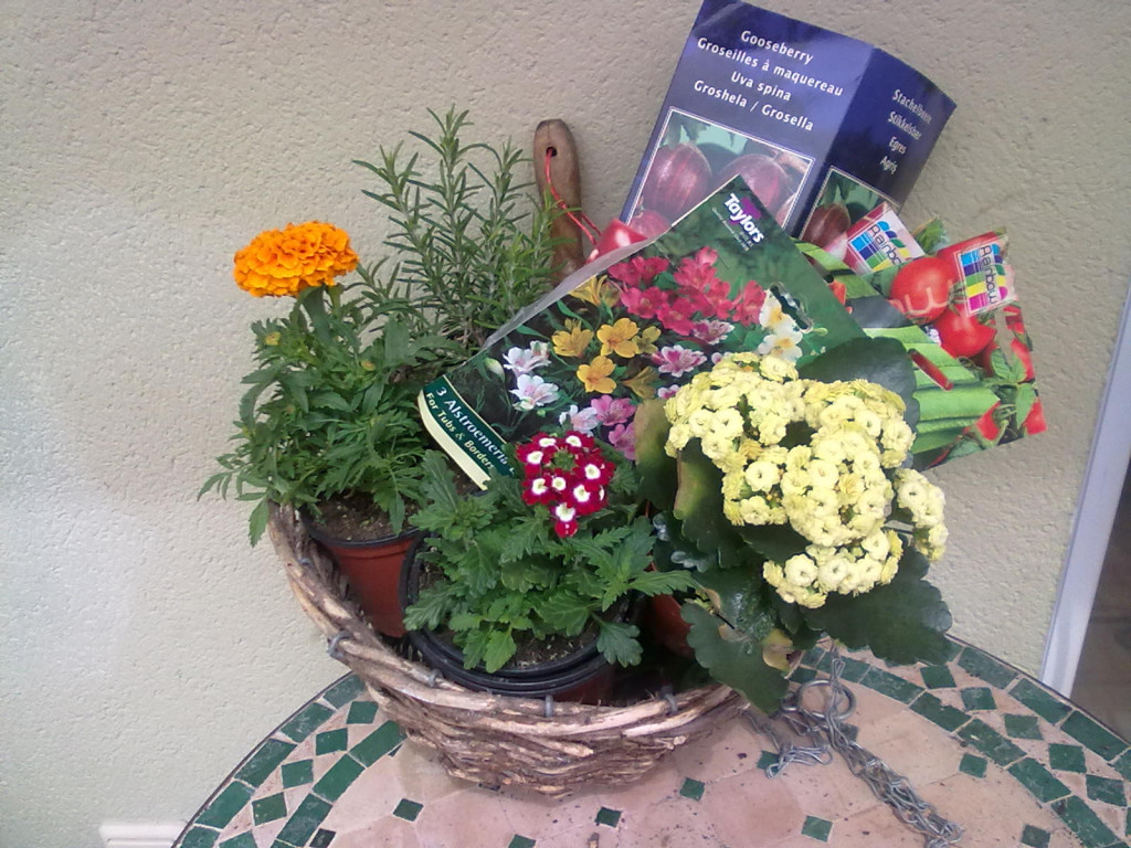 How to Make a Garden Starter Kit For a Friend