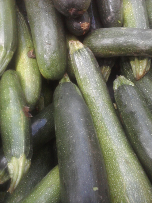 A picture of dark green zucchini that you can use to make this chocolate zucchini cake recipe.