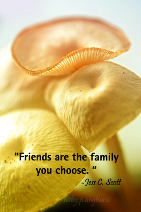 friends are family