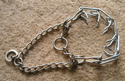 Prong or pinch collar