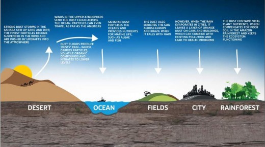 An infographic explaining how the Sahara desert dust is good for ecosystems, but not so good for city dwellers.