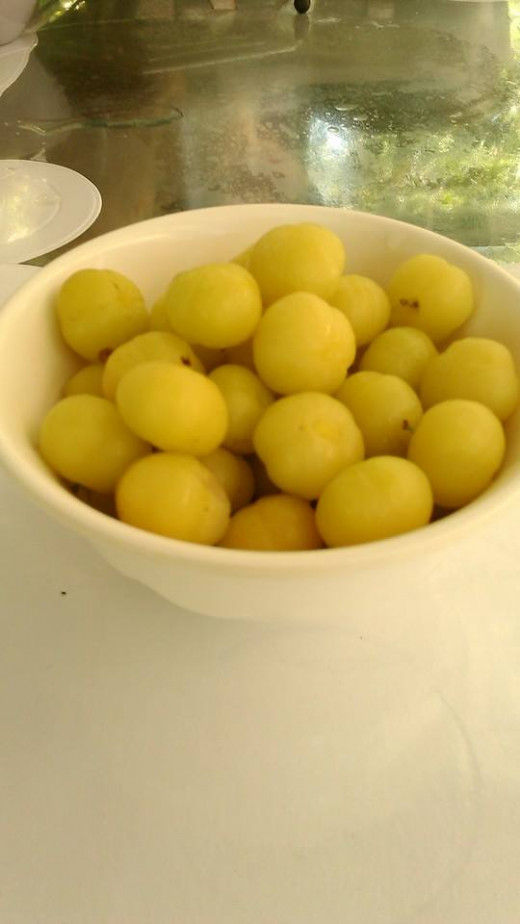 Fruits Found in the Philippines HubPages