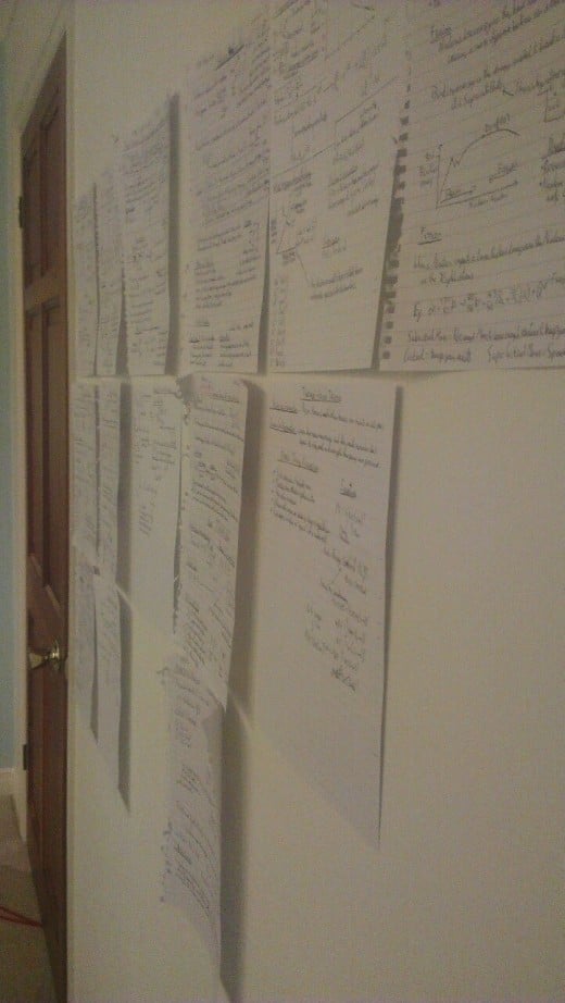 A wall of revision notes
