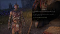 The Elder Scrolls Online Walkthrough - Dhalmora: Unorthodox Tactics, Salt of the Earth