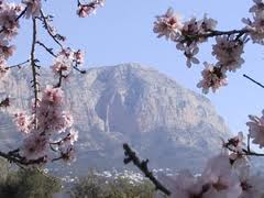 Montgo, Javeas mountain 
