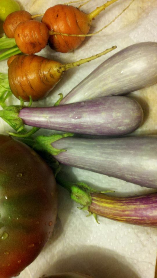 Eggplants and Carrots from the garden