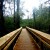 Jacksonville Arboretum and Gardens offers many nature trails, creeks and free programs to learn more about nature and animal.  They also offer volunteer opportunities to help maintain the park.