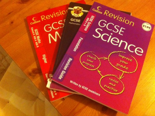 Plenty of good revision guides are available