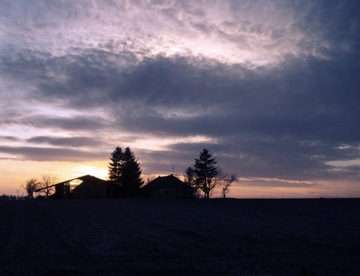 The cropped image