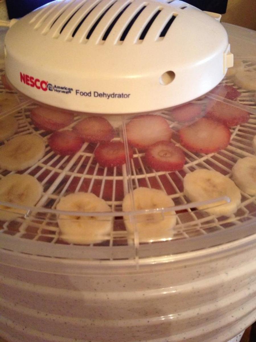 Strawberries and bananas drying in our food dehydrator.