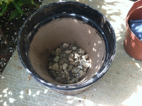 Rocks in the bottom of the buckets came from another area of the yard that is John's "project #2."
